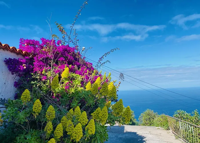 Mit Meerblick Und Jacuzzi *